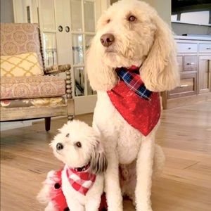 I like a variety of styles.